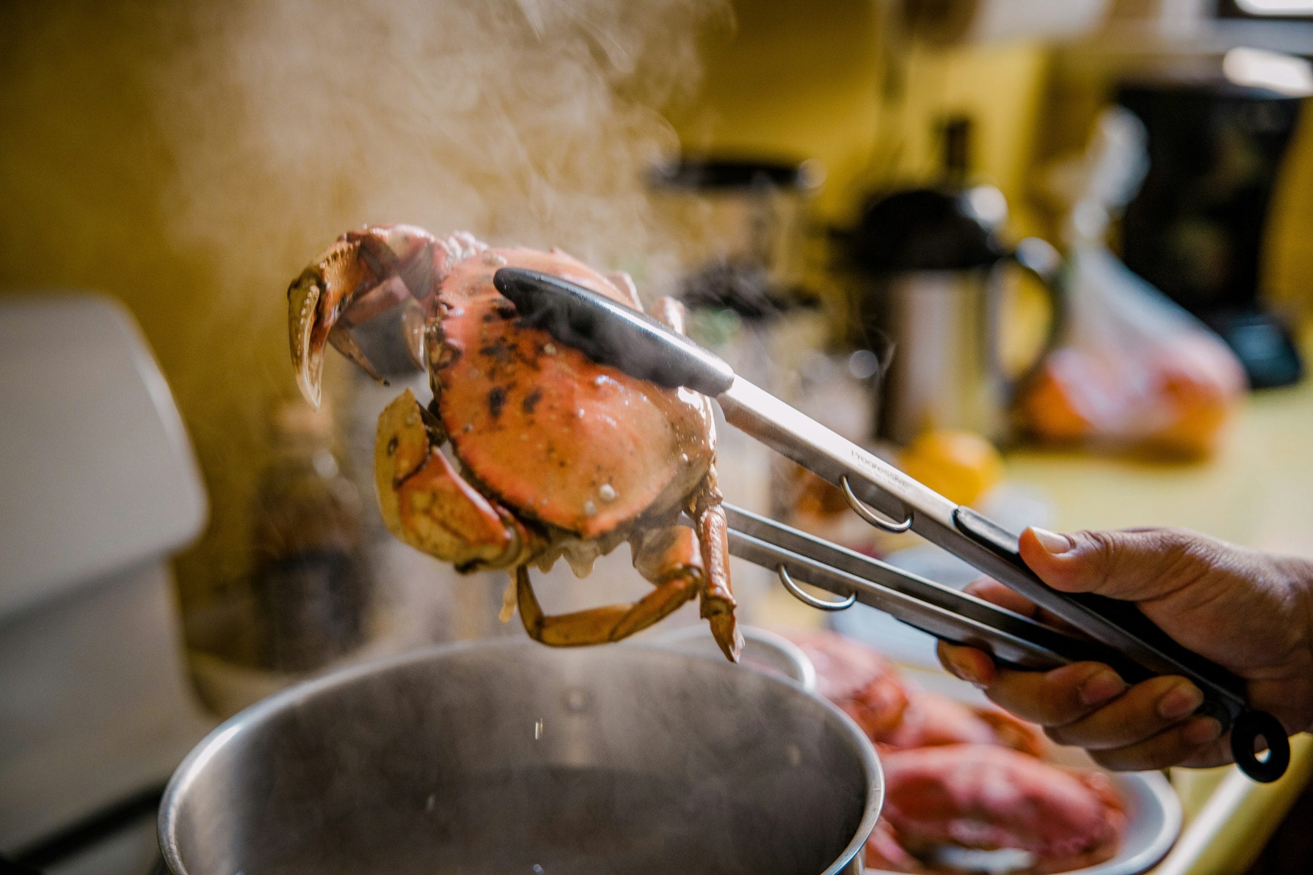 Japan’s Snow Crab Trail: Where to Eat and Stay This Winter